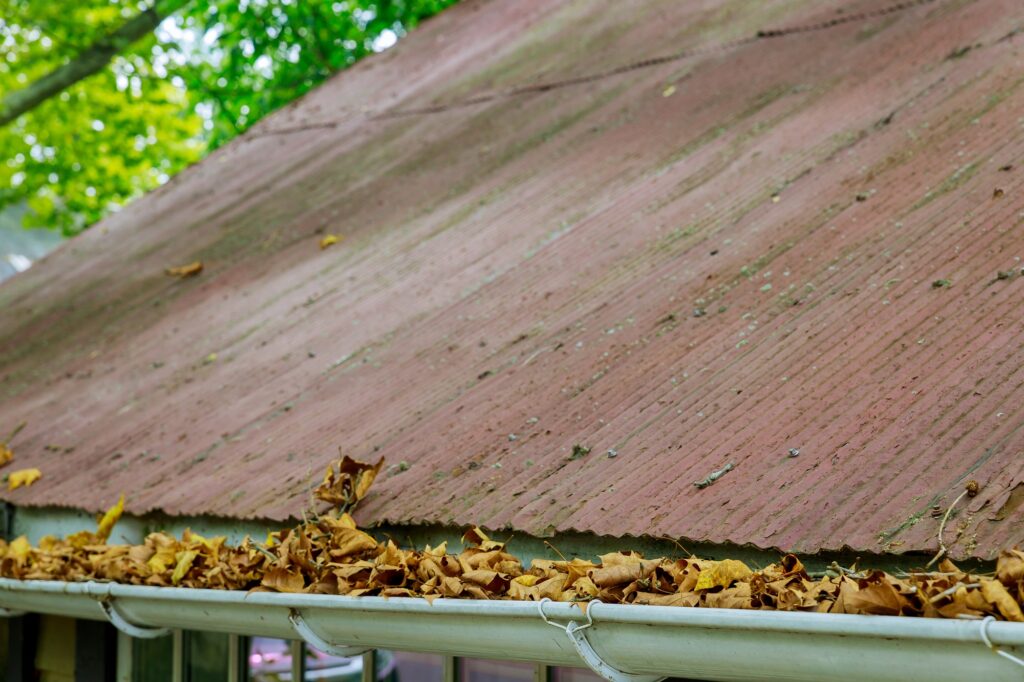 5 Essential Fall Home Maintenance Tips - Gutter Cleaning