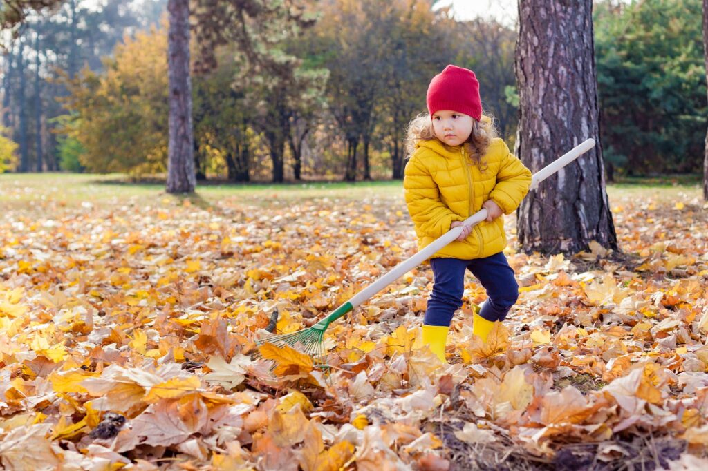 Fall Maintenance That Could Save You Thousands